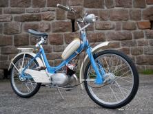 41